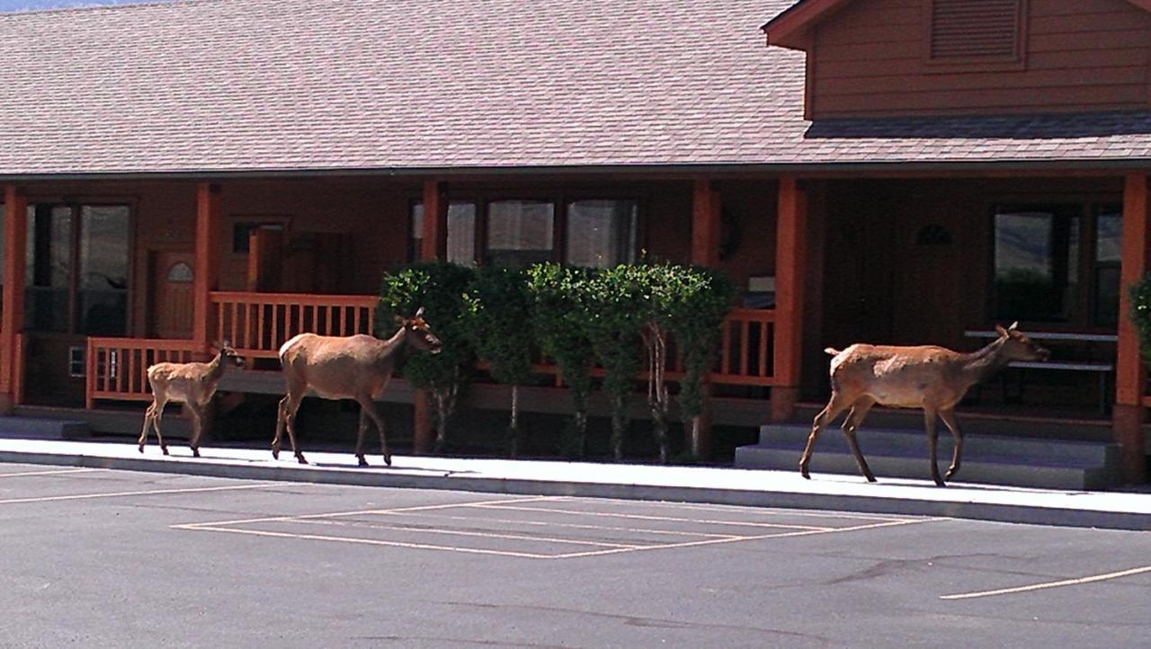 Yellowstone Village Inn And Suites Gardiner Exterior foto